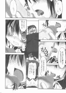 (C68) [NNZ DAN (Great Majin)] Ore ga Omae no Goshujin-sama (Kore ga Watashi no Goshujin-sama | He Is My Master) - page 13