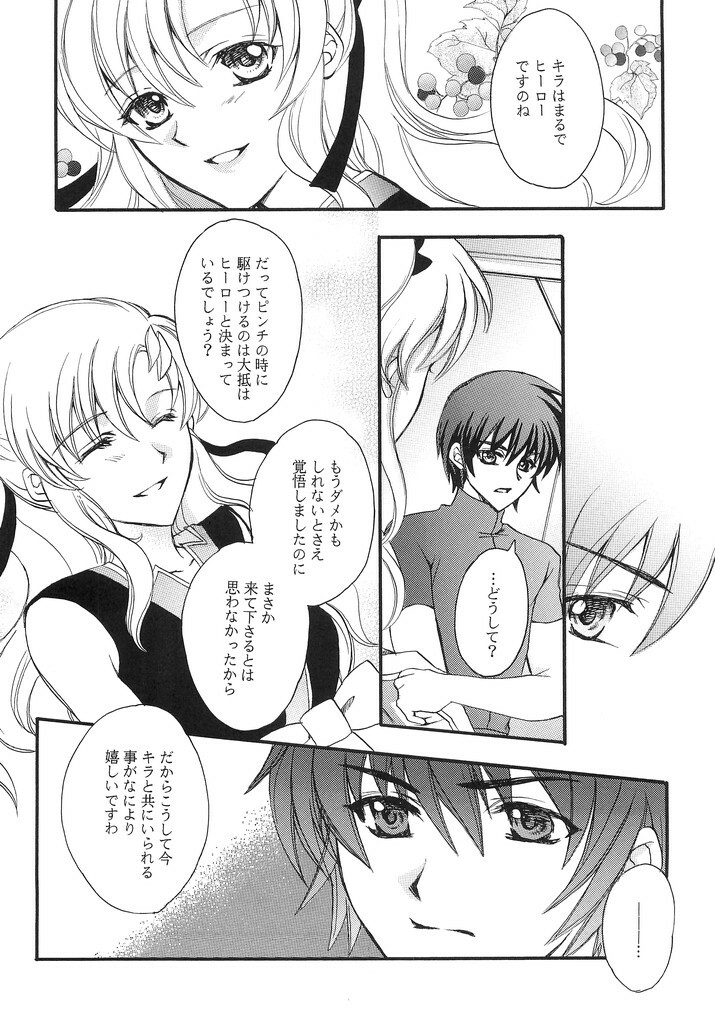 (C70) [LOVE ME DO (Imidas Nakamura, Satou Chiezou)] When You Wish Upon A Star (Kidou Senshi Gundam SEED) page 4 full