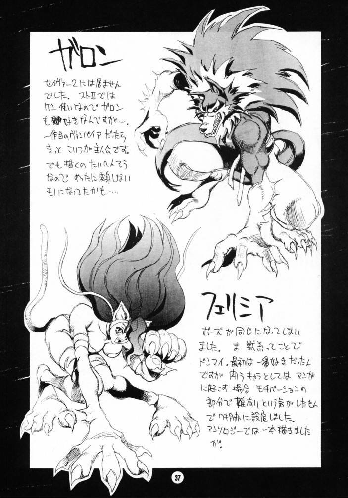 (C53) [NOUZUI MAJUTSU (Keisuke Kawara & Keishi Kanesada)] Nouzui Nininbaori (Darkstalkers) page 36 full