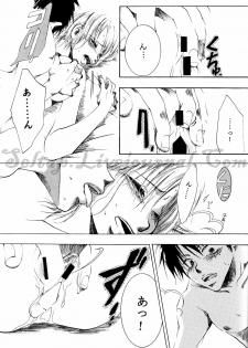 [AOKAGUMI (Ohmi Juri)] Hologram (One Piece) - page 25