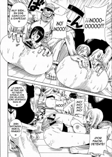 (C67) [Dorepooru (Leopard)] Leopard Hon 7 (One Piece) [Spanish] {Biblioteca Hentai} - page 13