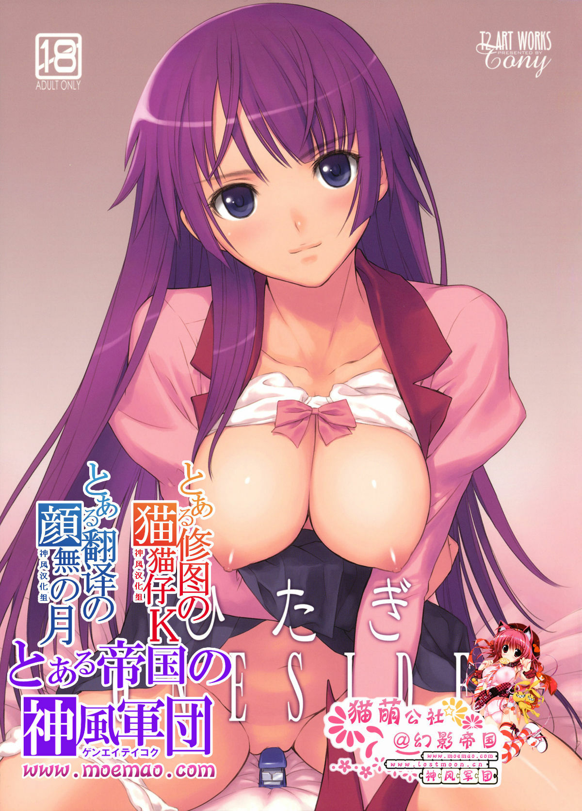 (C77) [T2 ART WORKS (Tony)] Hitagi ONE SIDE (Bakemonogatari) [Chinese] [moemao] page 1 full