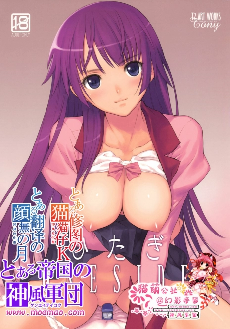 (C77) [T2 ART WORKS (Tony)] Hitagi ONE SIDE (Bakemonogatari) [Chinese] [moemao]