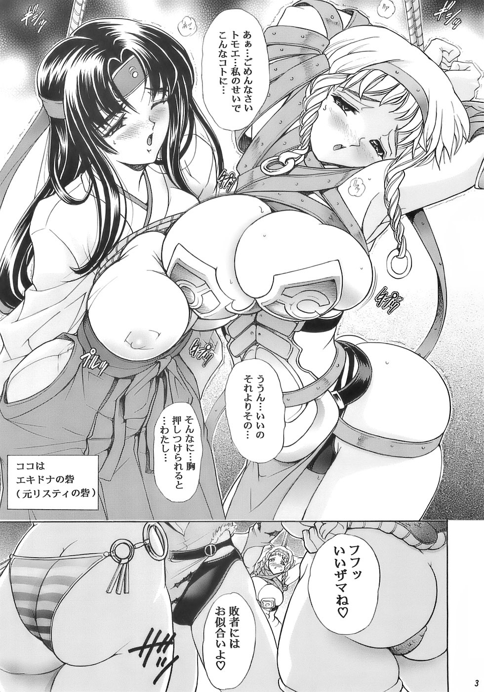 (C71) [Kawaraya Honpo (Kawaraya A-ta)] Hana - Maki no Juusan - Hana no Sumeragi (Queen's Blade) page 3 full