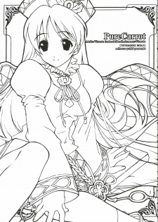 (C69) [TOTSUGEKI WOLF (Yuhki Mitsuru)] PureCarrot (Atelier Viorate ~The Alchemist of Gramnad 2~) - page 2