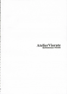 (C69) [TOTSUGEKI WOLF (Yuhki Mitsuru)] PureCarrot (Atelier Viorate ~The Alchemist of Gramnad 2~) - page 3