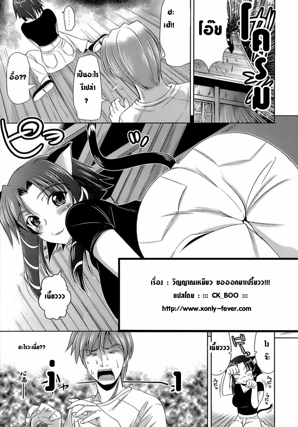 วิญญาณเหมียว ขอออกมาเปรี้ยวว [thai] page 3 full