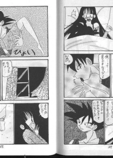 Dragonball for adult - page 14