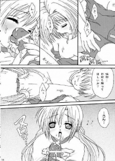 (C60) [Raisupan (Tanu Ukyo)] Fetish (Sister Princess) - page 11