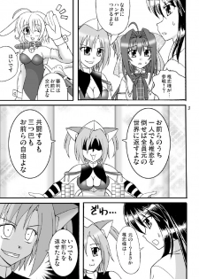 (COMIC1☆3) [Mikouken 2nd (Kutsugen Kanna)] D.C.2nd Dai-14 Gakushou (D.C.P.K. ~Da Ca Po-Ker~) - page 4