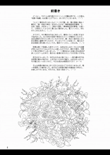 (C76) [YASRIN-DO (Yasu Rintarou)] Touka Kenran (Shin Koihime Musou) - page 3