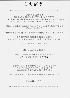 (COMIC1☆4) [Ryuknigthia (Kiduki Erika)] Daily RO 2 (Ragnarok Online) - page 3