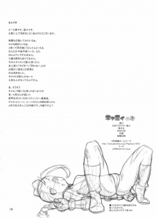 (C65) [666protect (Various)] Cammy no Hon (Street Fighter) - page 17