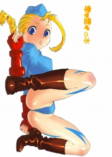 (C65) [666protect (Various)] Cammy no Hon (Street Fighter) - page 1