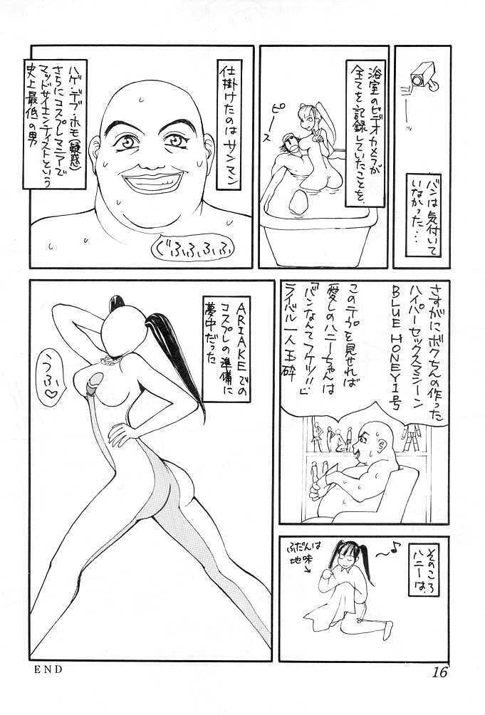 [Senpuga] HONEY & CHERRY (Fighting Vipers, Virtua Fighter, Street Fighter) page 15 full