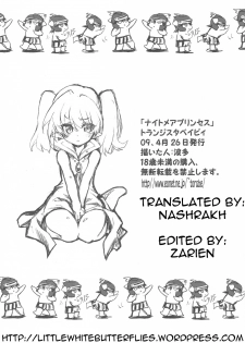 (COMIC1☆3) [Transistor Baby (Hata)] Nightmare Princess (Dragon Quest I) [English] =LWB= - page 16