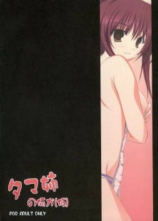(C73) [RADIANT (Yuuki Makoto)] Tama-nee no Nanika(Kari) (ToHeart 2) [English] [Slayerjammer] - page 15