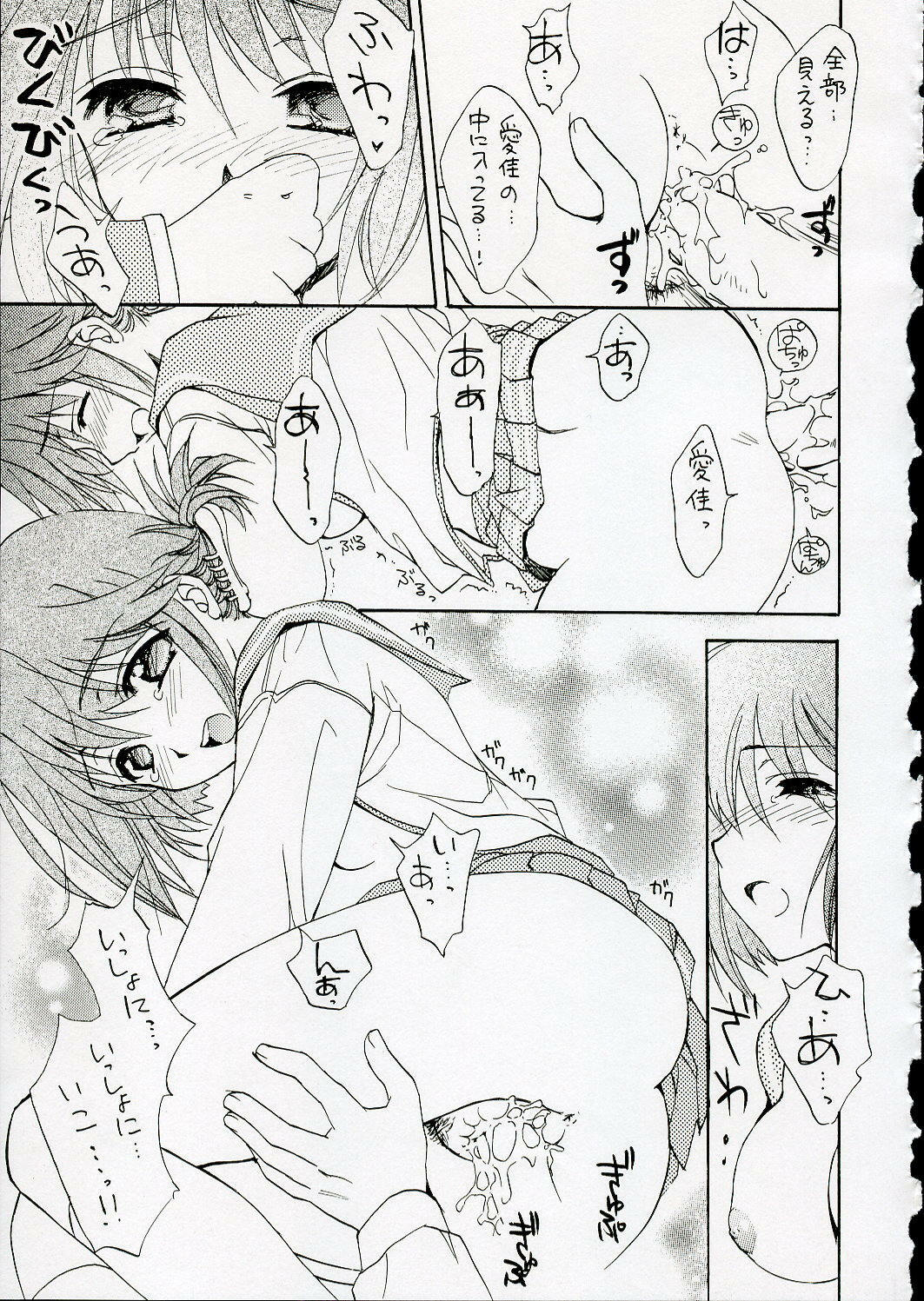 (C68) [SUKAPON-DO (Kagawa Tomonobu, Yano Takumi)] Cherisshu | *Cherish* (To Heart 2) page 24 full