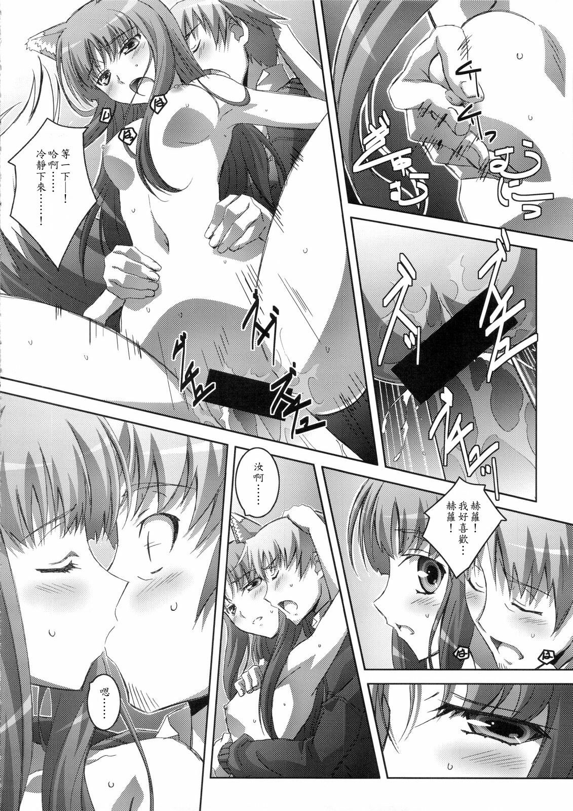 (C74) [Mahirutei (Izumi Mahiru)] Horon Hororon (Spice and Wolf) [Chinese] page 17 full