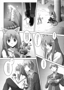 (C74) [Mahirutei (Izumi Mahiru)] Horon Hororon (Spice and Wolf) [Chinese] - page 6