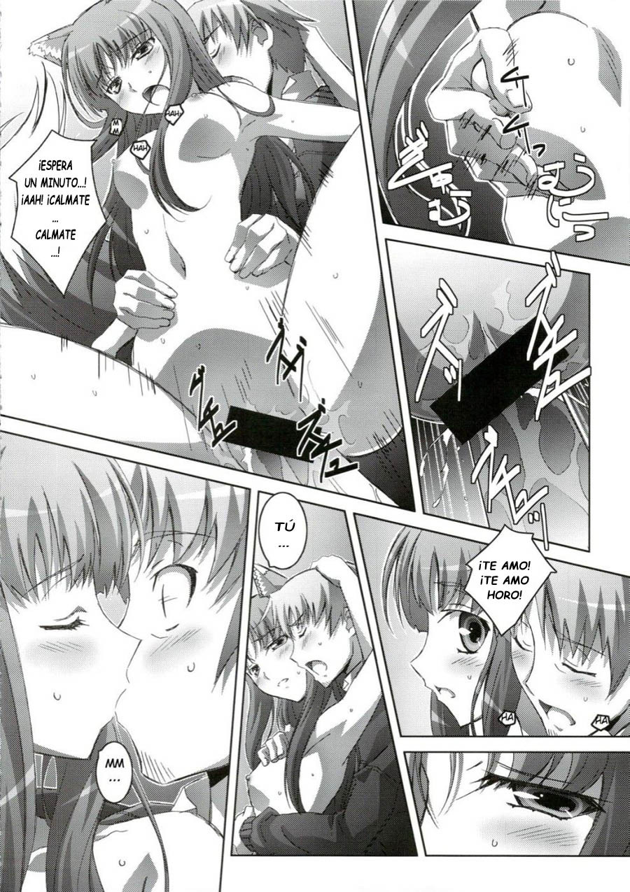 (C74) [Mahirutei (Izumi Mahiru)] Horon Hororon (Spice and Wolf) [Spanish] [Drako D. Dark] page 17 full