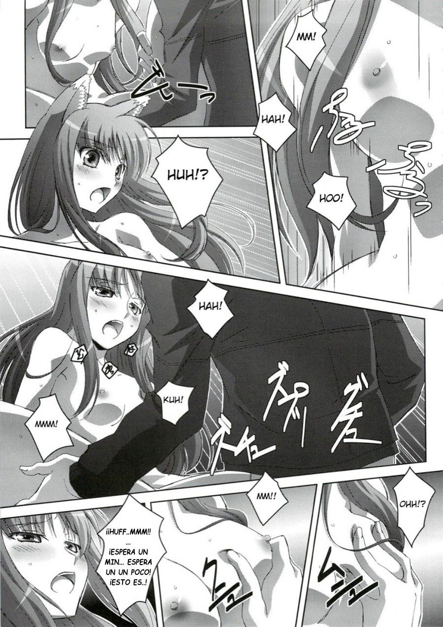 (C74) [Mahirutei (Izumi Mahiru)] Horon Hororon (Spice and Wolf) [Spanish] [Drako D. Dark] page 22 full