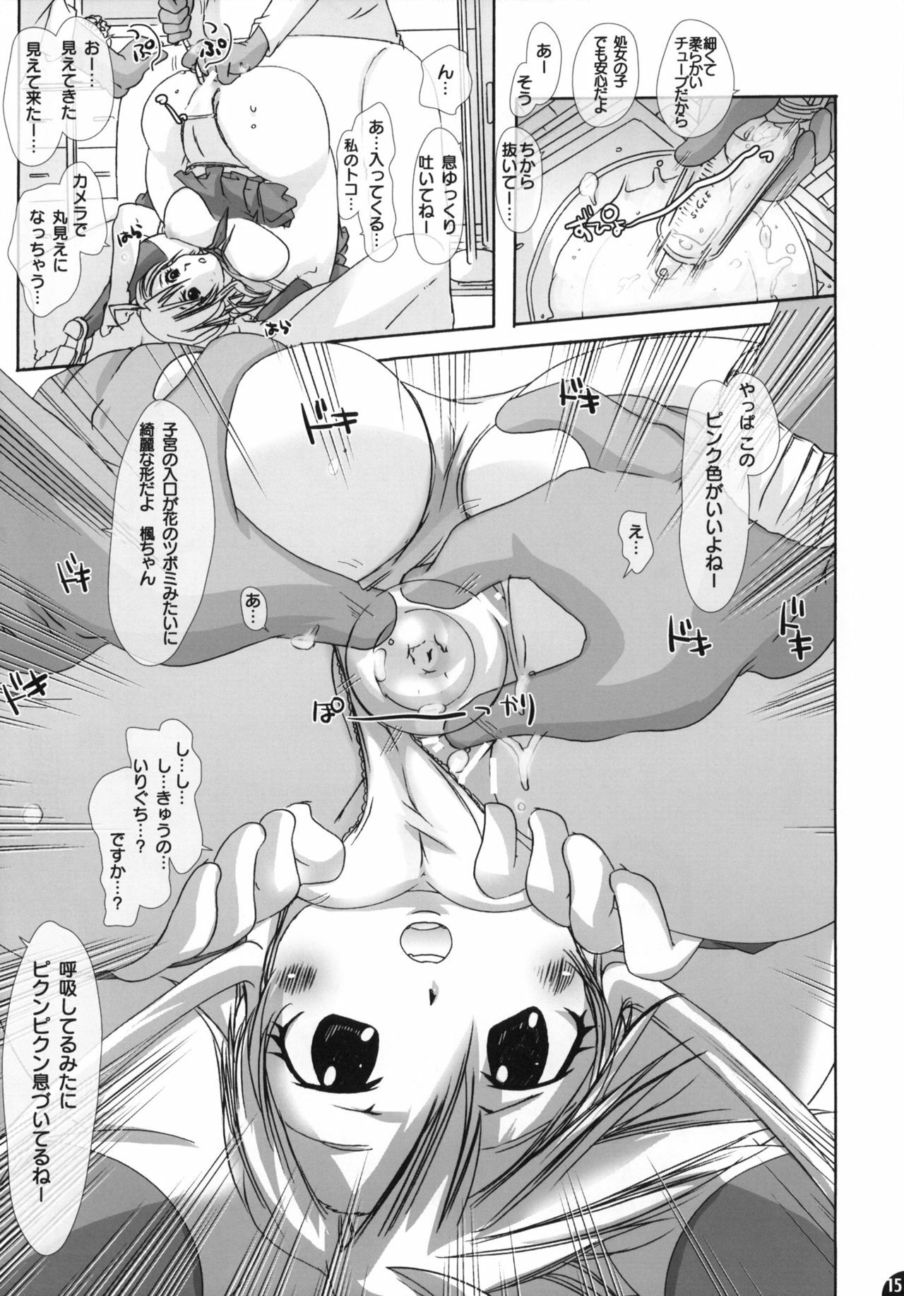 (C77) [PLECO (Chikiko)] Namagoku Nyanko (Nyan Koi!) page 14 full