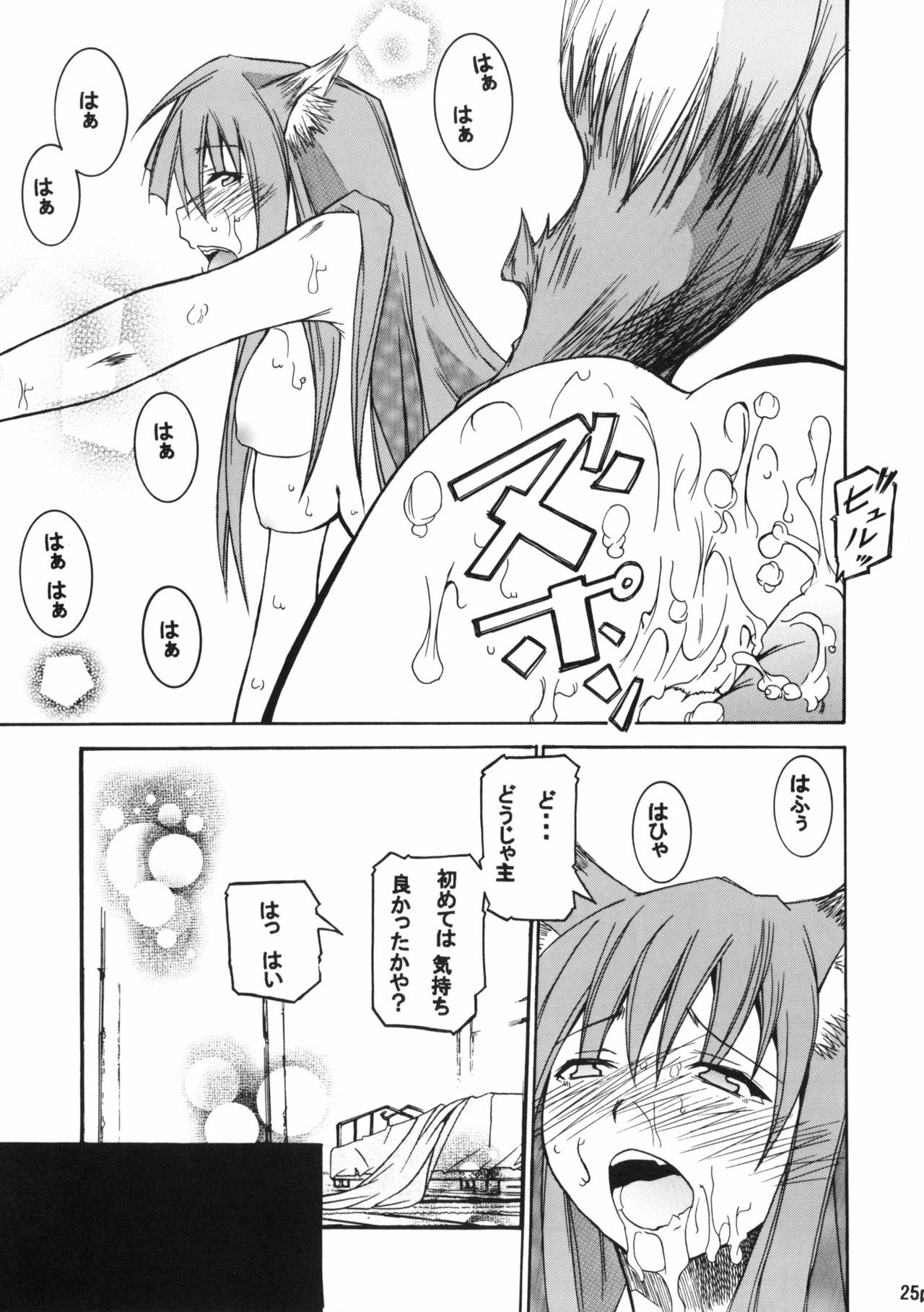 (CT15) [FOX・HOUND (Sugiyama Takashi)] Kousinryou wo Ookami ni Ⅰ (Spice and Wolf) page 26 full