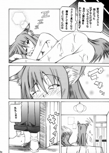 (CT15) [FOX・HOUND (Sugiyama Takashi)] Kousinryou wo Ookami ni Ⅰ (Spice and Wolf) - page 13