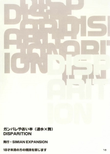 (C60) [SIMIAN EXPANSION (Natsu Hiruma)] DISPARITION (Gunparade March) - page 17