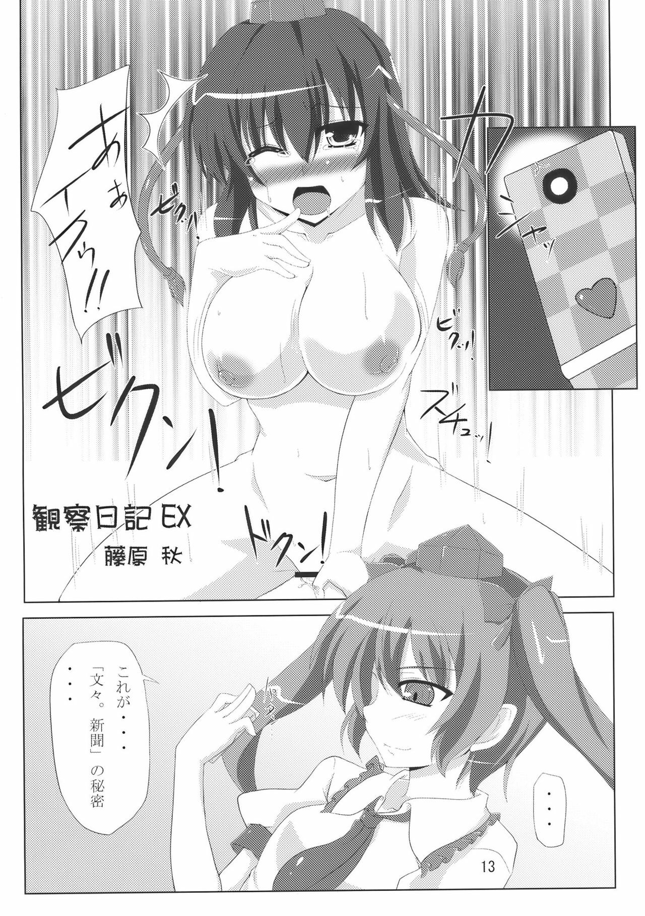 (COMIC1☆4) [Amadeus no Isan (Fujihara Shu, Aoba Shou)] Tengu FEVER (Touhou Project) page 13 full