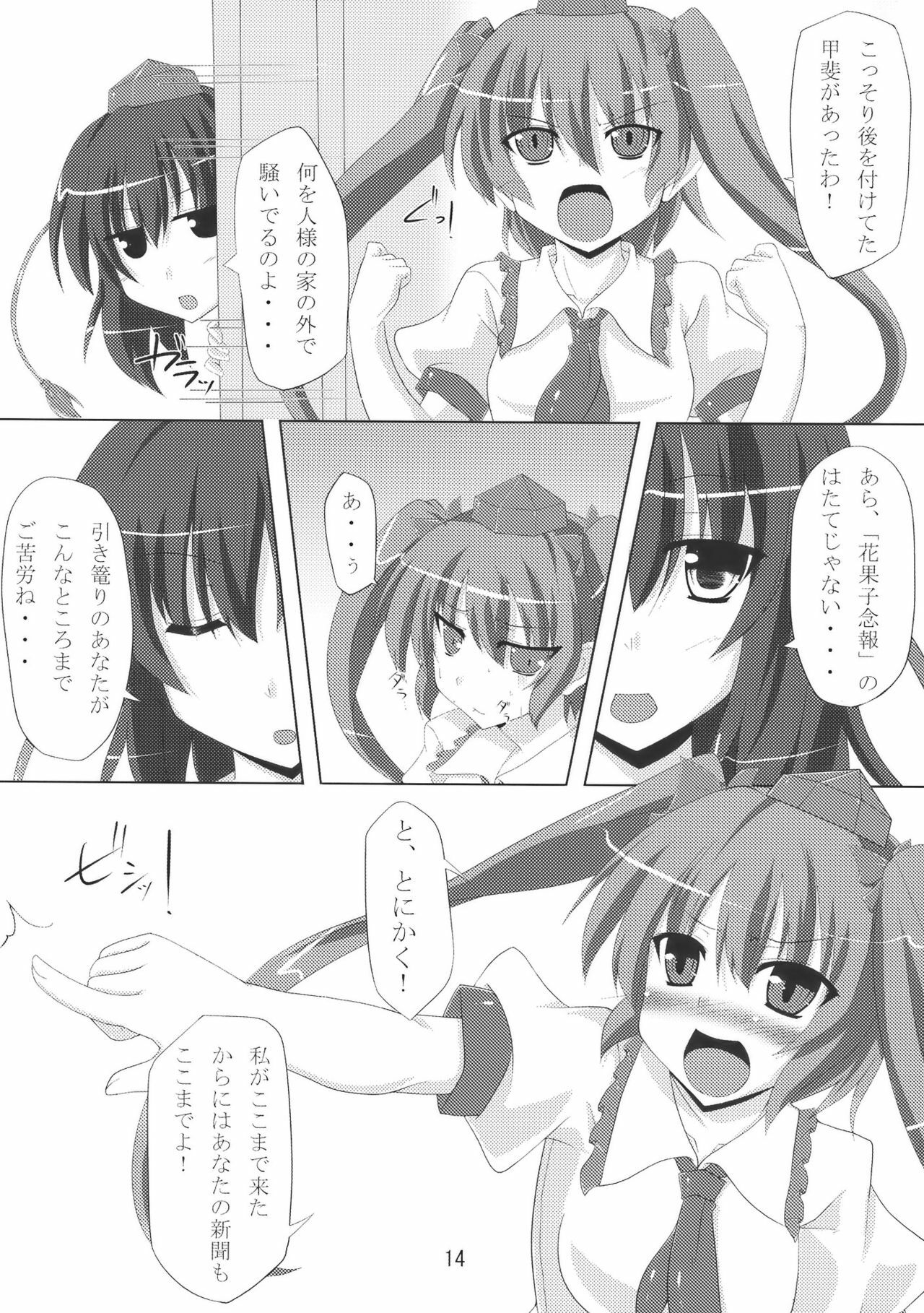 (COMIC1☆4) [Amadeus no Isan (Fujihara Shu, Aoba Shou)] Tengu FEVER (Touhou Project) page 14 full