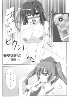 (COMIC1☆4) [Amadeus no Isan (Fujihara Shu, Aoba Shou)] Tengu FEVER (Touhou Project) - page 13