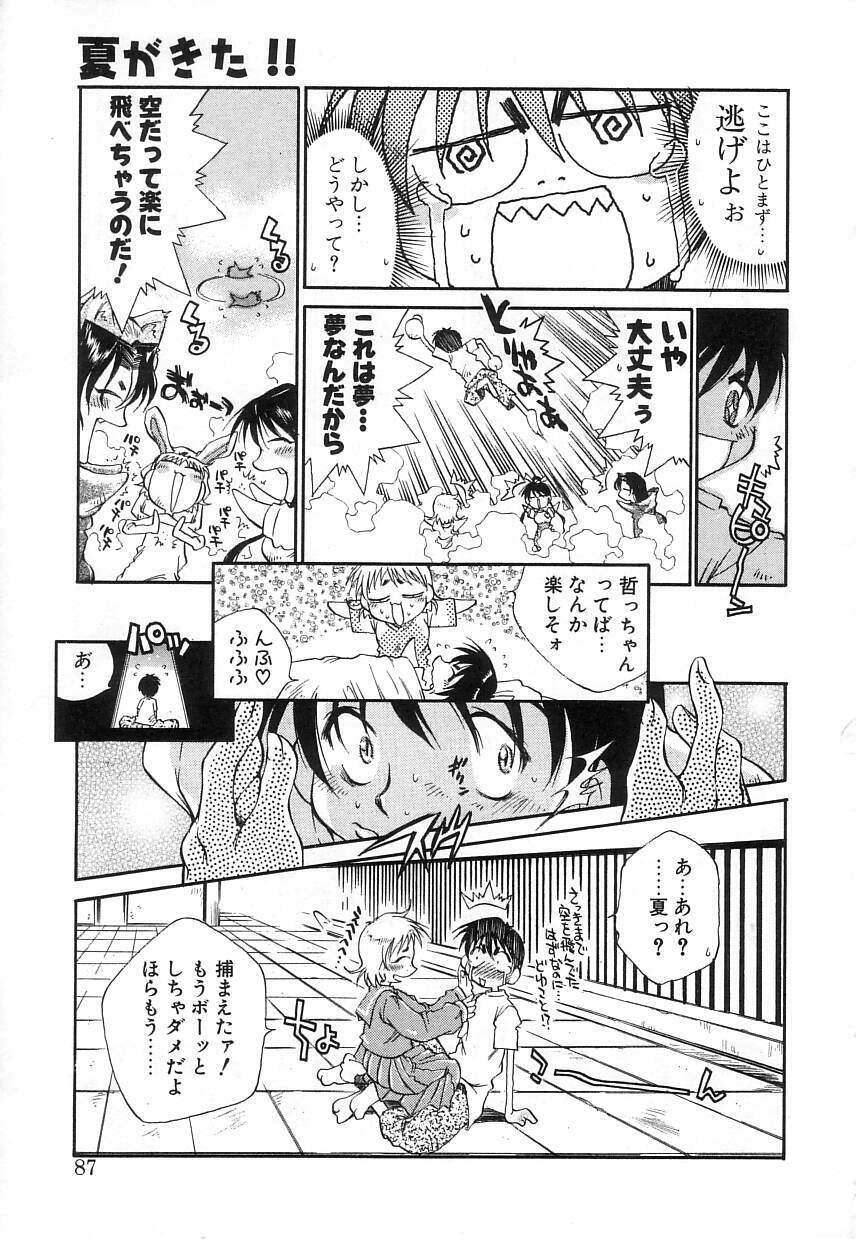 [Tachibana Toshihiro] Natsu ga Kita!! - Summer Crisis!? page 85 full