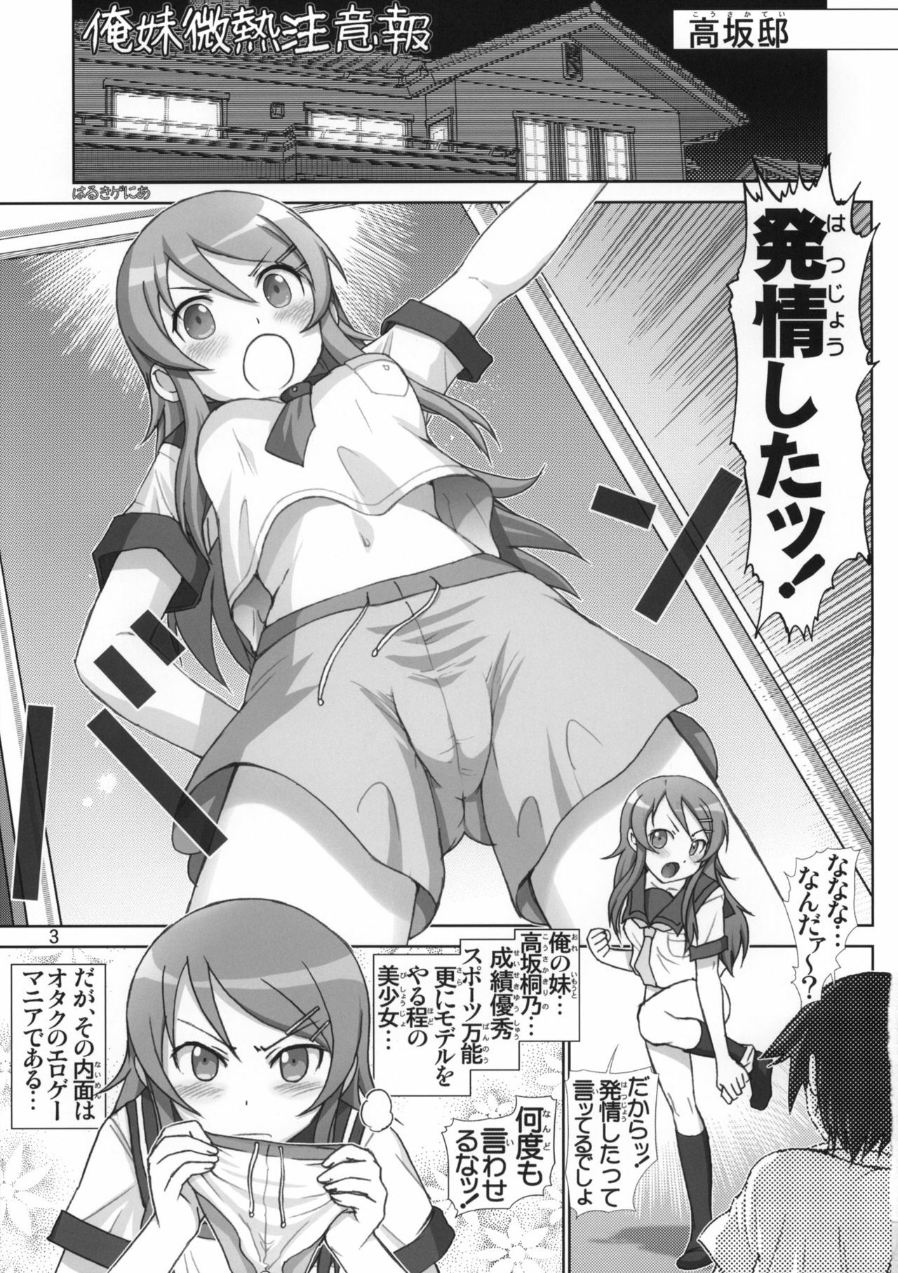 (Tora Matsuri 2010) [Raijinkai (Haruki Genia)] Oreimo Binetsu Tyuihou 1 (Ore no Imouto ga Konna ni Kawaii Wake ga Nai) page 2 full