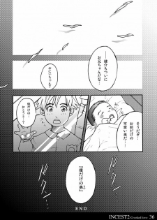 [Kinokotei (Nekotsuki Izumi)] Incest 2 -Crooked Love- - page 36