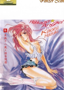 [Hazuki Kaoru] Houkago Angel | Afterschool Angel [Chinese] - page 2