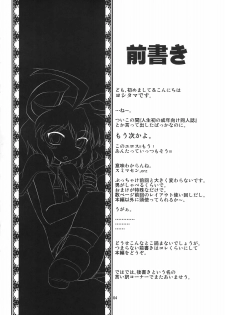 (CCFukuoka22) [CUNICULUS (Yositama)] Ko, kodakara!? ~Nazrin wa Ore no Yome~ (Touhou Project) - page 4