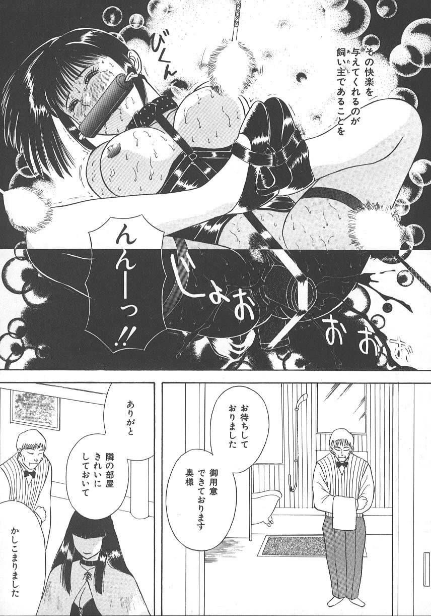 [Kawamori Misaki] Kimi wa Hanjuku Tamago - You Are Half-Boiled Egg page 23 full