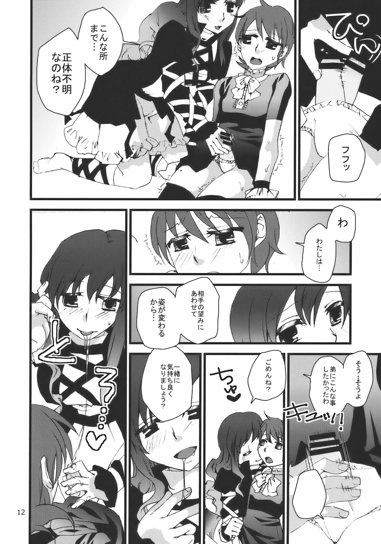 (C77) [pinktips.info (kazuha)] Shoutai Fumei no Otouto-sama (Touhou Project) page 12 full