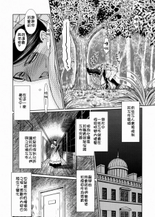 (COMIC1☆3) [CIRCLE OUTERWORLD (Chiba Shuusaku)] First House Maid (Emma - A Victorian Romance) [Chinese] [Xw舞舞] - page 9
