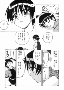 [Spark Utamaro] Shiru o Suu Nawa - page 29