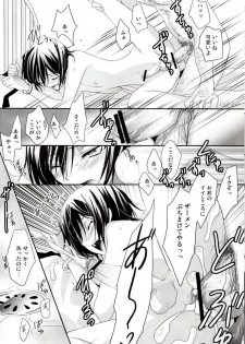 [Reflection (Panta)] Urekko Desu!! ~Lelouch ga Uttari Uraretari Suru Hon.~ (Code Geass) - page 11