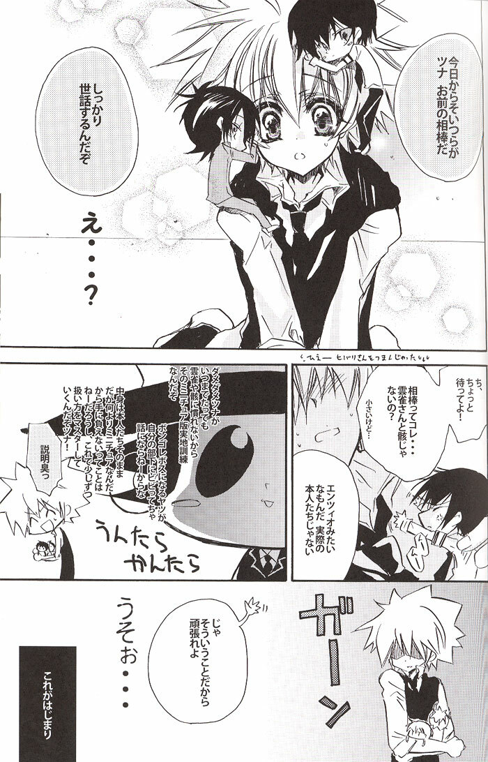 (C71) [RIRIADOLL (Takewakamaru)] Danna-sama! (Katekyo Hitman REBORN!) page 6 full