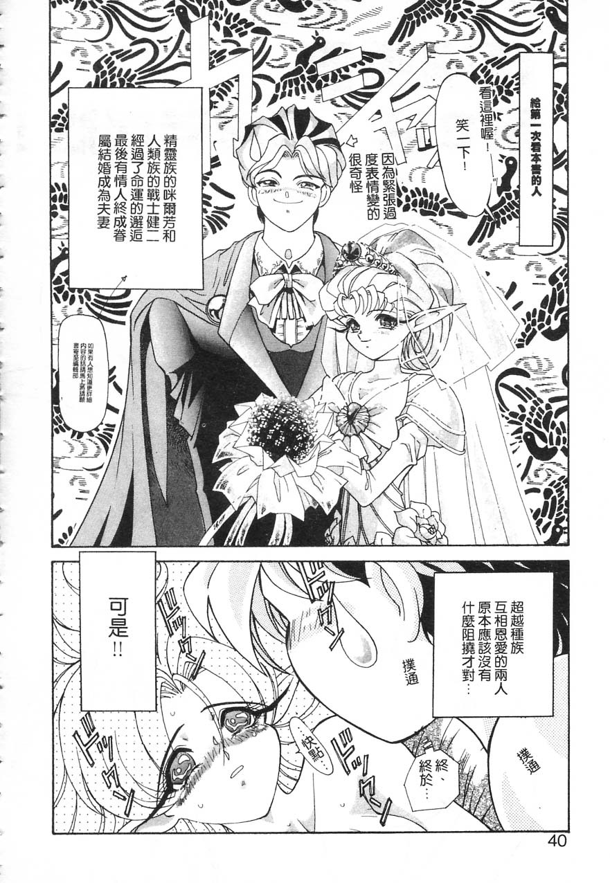 [Kazuma G-VERSION] Elf no Wakaokusama | 精靈嬌妻 Vol. 1 [Chinese] page 41 full