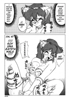 [Neriwasabi] Meneko-chan Inbi Meneko Henge [SPA] - page 11