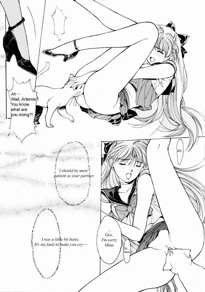 Sailor V (Bishoujo Senshi Sailor Moon) [English] page 13 full