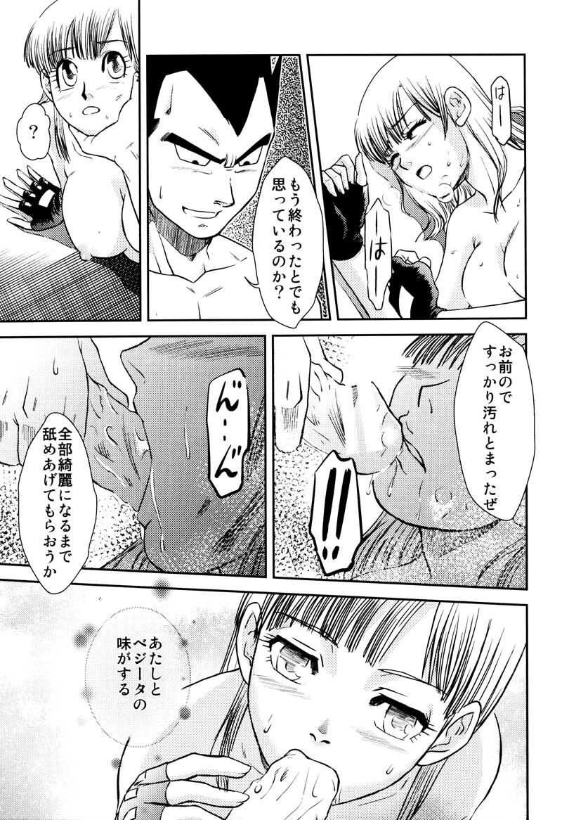 MOEBON BALL KAI (Dragonball Z) [Vegeta X Bulma] page 112 full