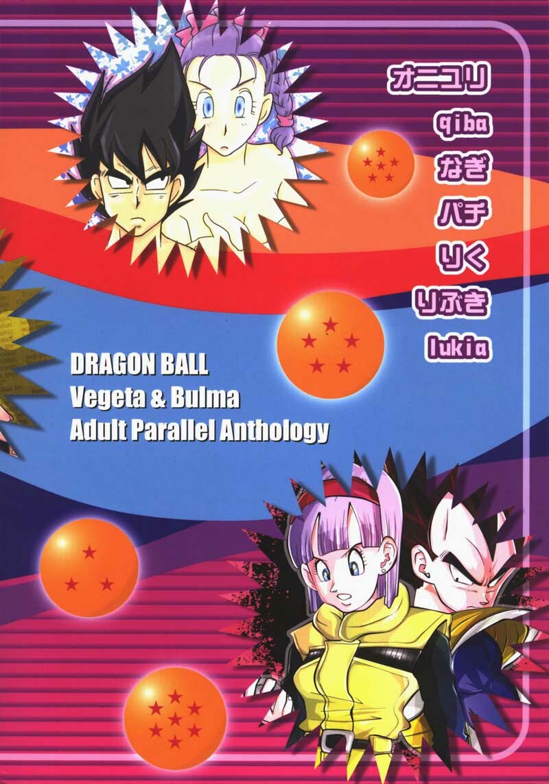 MOEBON BALL KAI (Dragonball Z) [Vegeta X Bulma] page 121 full