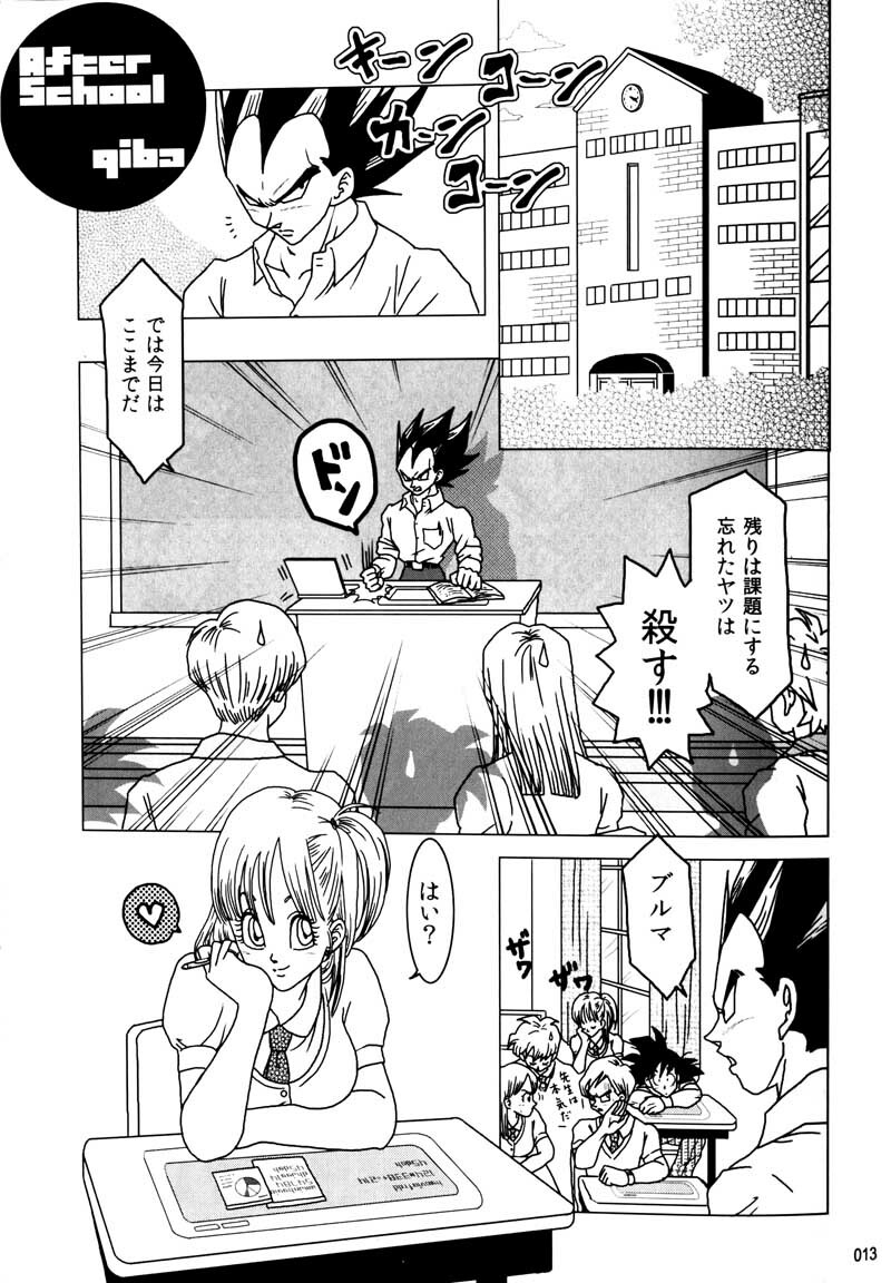 MOEBON BALL KAI (Dragonball Z) [Vegeta X Bulma] page 14 full